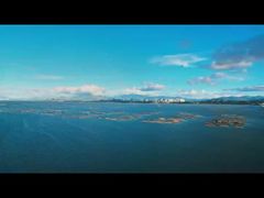 5.2KM 高性能沿岸監視レーダーシステム(目標追跡および捕捉警告付き)